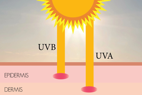 اشعه UV چیست